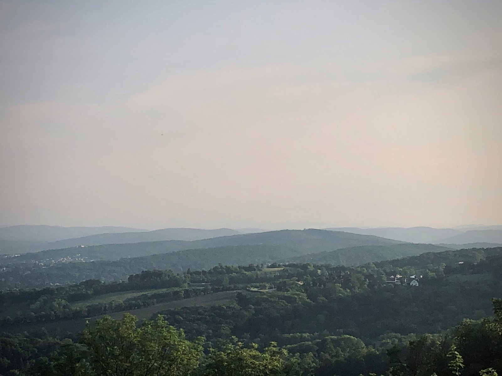 green trees and mountains during daytime